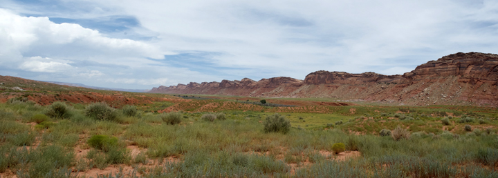 Comb Ridge and Wash
